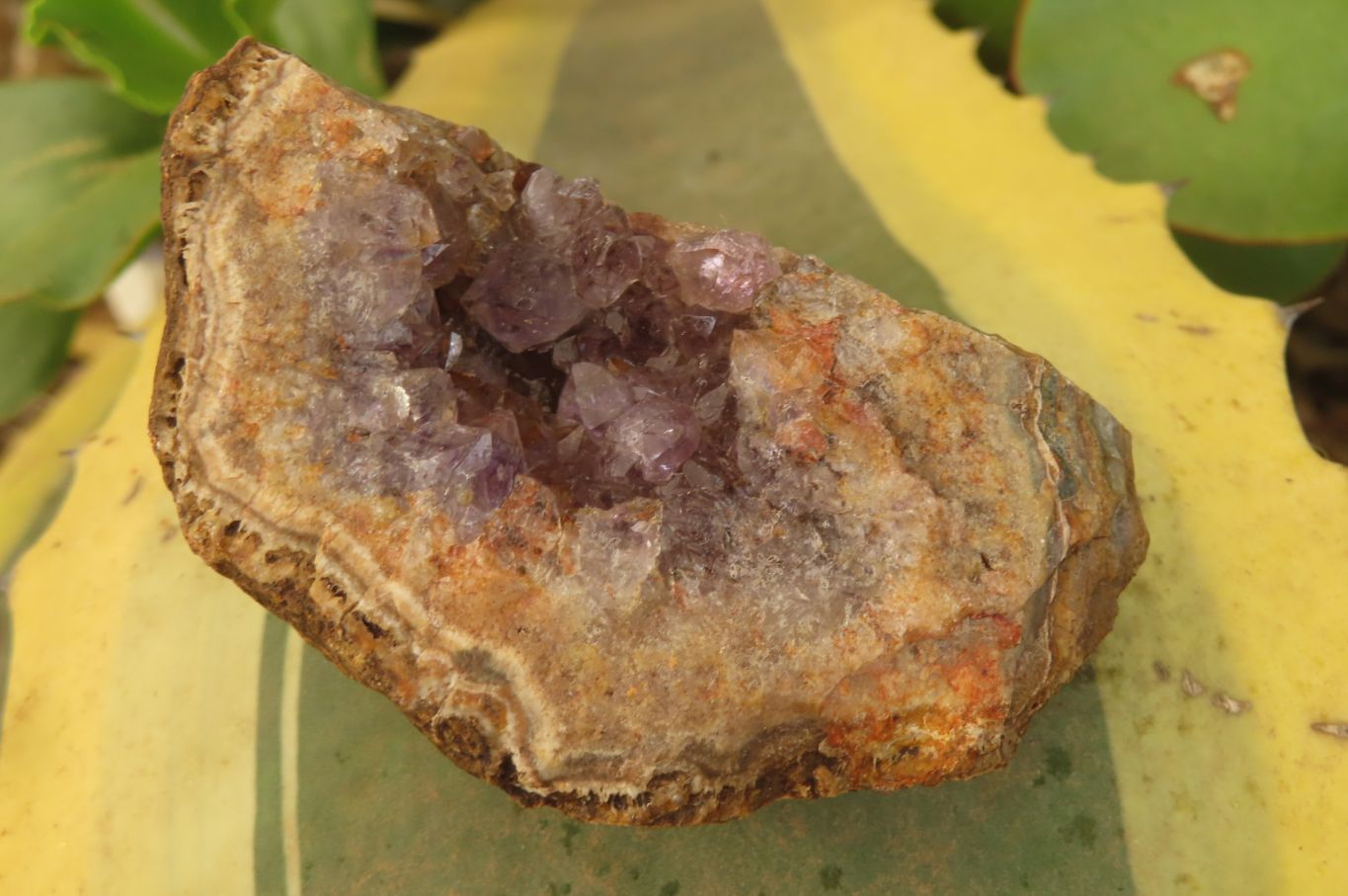 Natural Zululand Amethyst Geodes x 6 from Jozini, South Africa - Toprock Gemstones and Minerals 