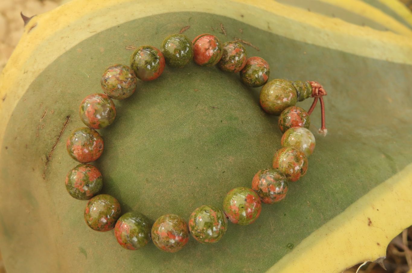 Polished Unakite Beaded Stretch Buddha Bracelet - Sold Per Item - From South Africa - Toprock Gemstones and Minerals 