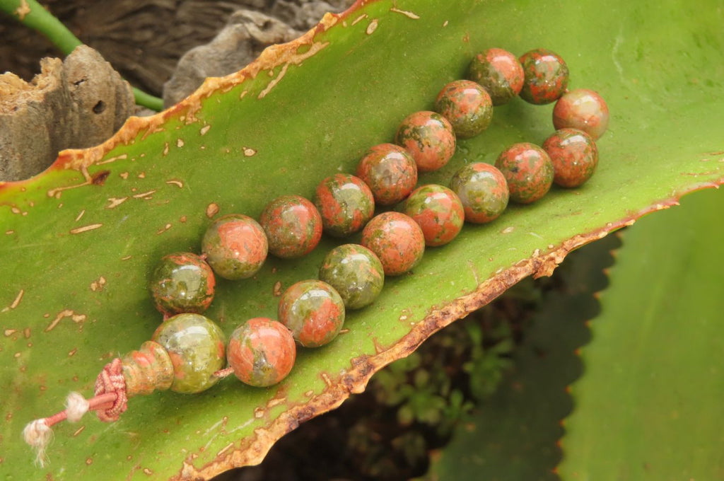 Polished Unakite Beaded Stretch Buddha Bracelet - Sold Per Item - From South Africa - Toprock Gemstones and Minerals 