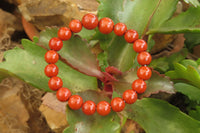Polished Red Jasper Beaded Clip On Bracelet - Sold Per Item - From South Africa