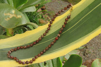Polished Rainbow Jasper Faceted Bead Necklace - Sold Per Item - From Madagascar - Toprock Gemstones and Minerals 