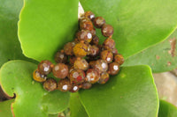 Polished Rainbow Jasper Faceted Bead Necklace - Sold Per Item - From Madagascar - Toprock Gemstones and Minerals 