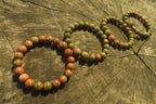 Polished Unakite Clip On Beaded Bracelet - Sold Per Item - From South Africa - Toprock Gemstones and Minerals 