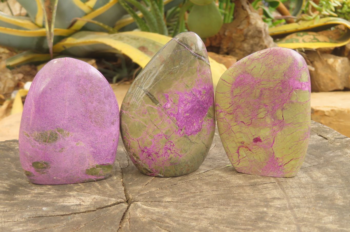 Polished Stichtite Standing Free Forms x 6 From Barberton, South Africa - Toprock Gemstones and Minerals 