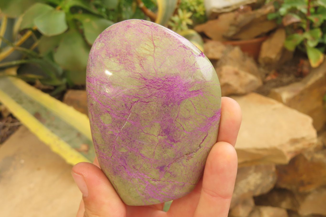 Polished Stichtite Standing Free Forms x 6 From Barberton, South Africa - Toprock Gemstones and Minerals 