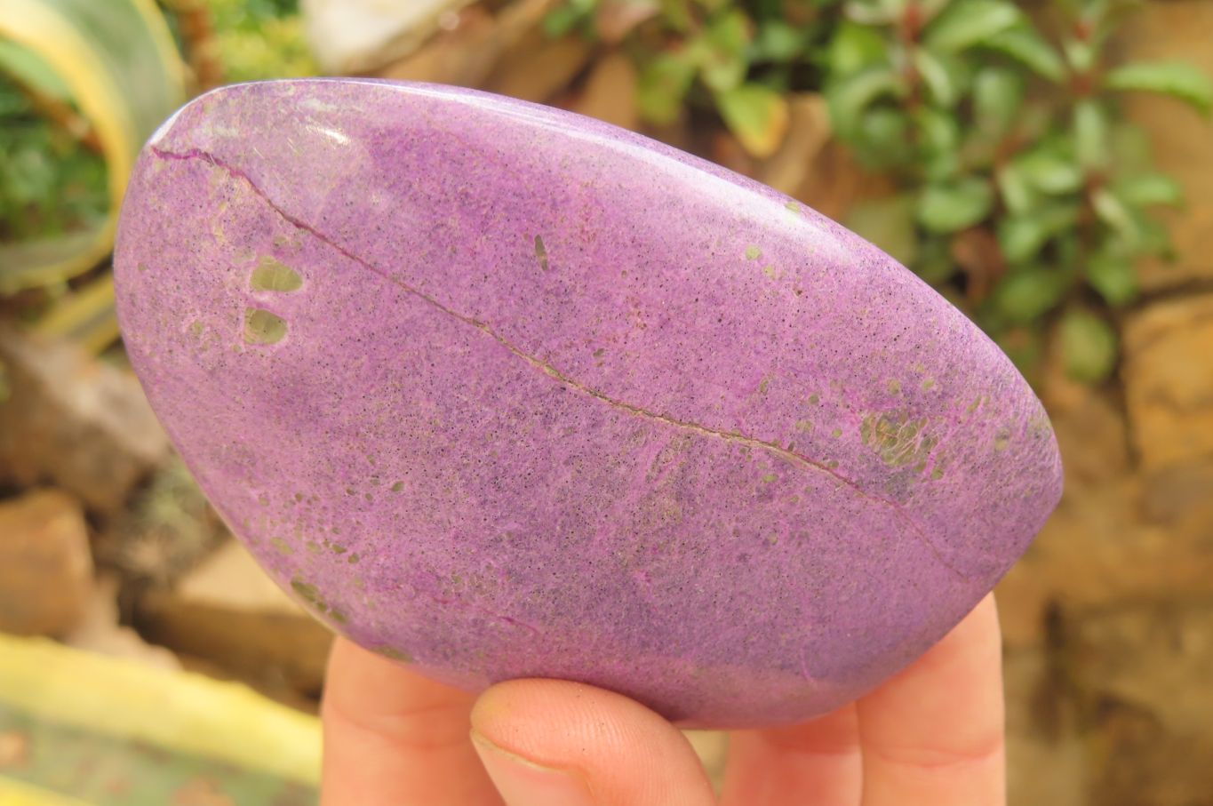 Polished Stichtite Standing Free Forms x 6 From Barberton, South Africa - Toprock Gemstones and Minerals 