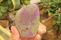 Polished Stichtite Standing Free Forms x 6 From Barberton, South Africa - Toprock Gemstones and Minerals 