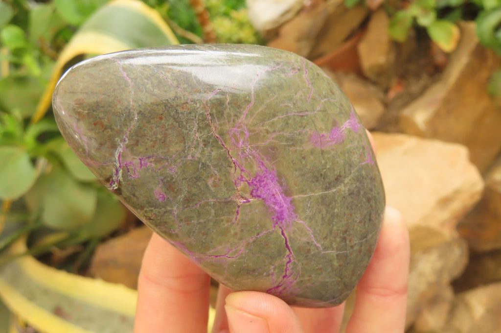 Polished Stichtite Standing Free Forms x 6 From Barberton, South Africa - Toprock Gemstones and Minerals 