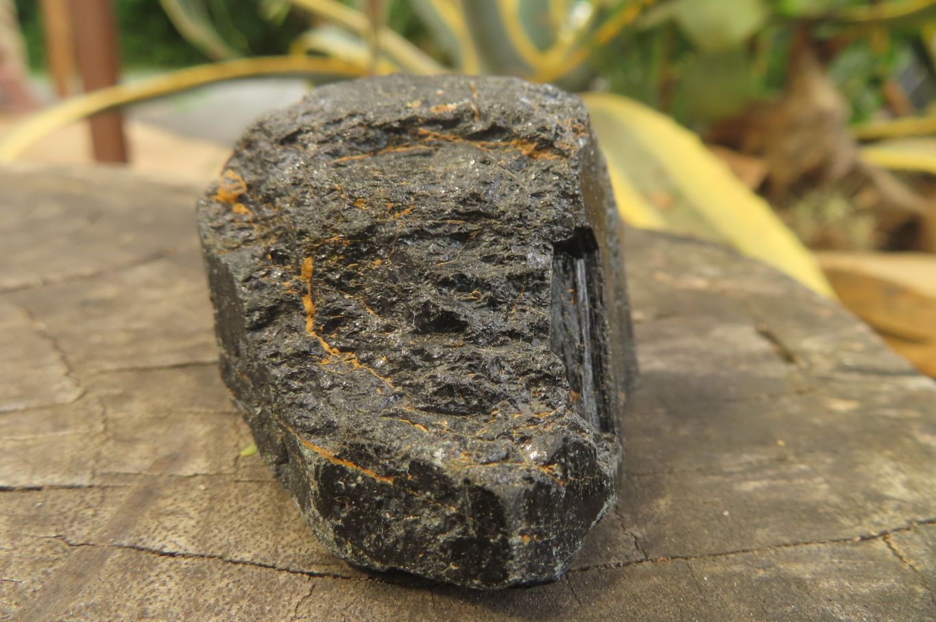 Natural Alluvial Schorl Black Tourmaline Specimens x 6 From Zimbabwe - Toprock Gemstones and Minerals 