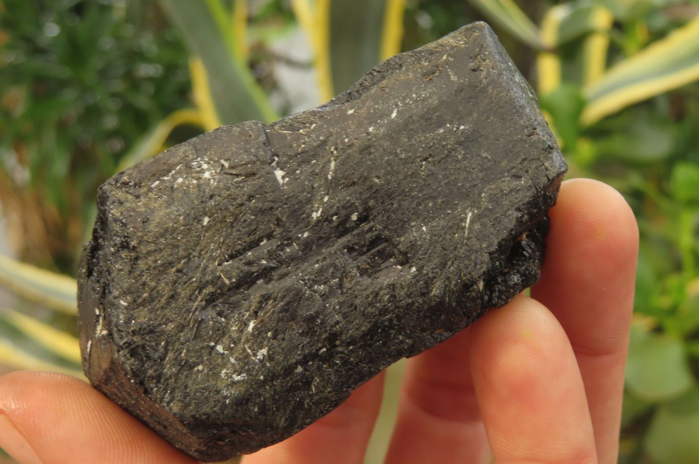 Natural Schorl Black Tourmaline Specimens x 6 From Zimbabwe – Toprock ...