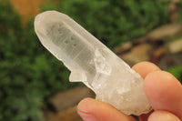 Natural Clear Quartz Crystals x 46 From Madagascar - Toprock Gemstones and Minerals 