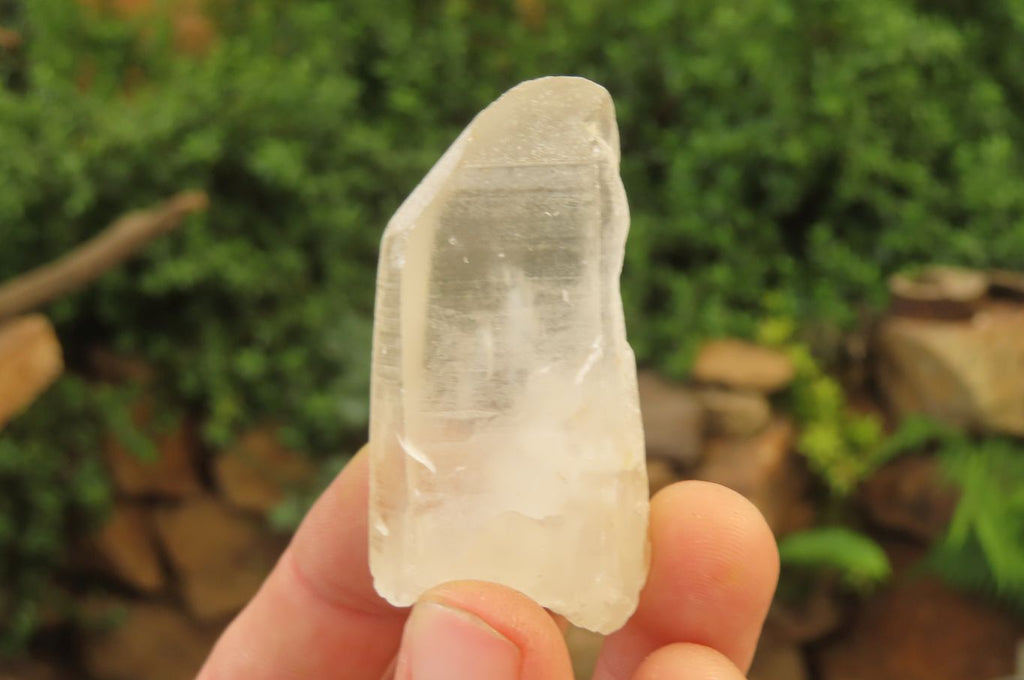 Natural Clear Quartz Crystals x 46 From Madagascar - Toprock Gemstones and Minerals 