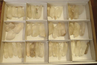 Natural Clear Quartz Crystals x 46 From Madagascar - Toprock Gemstones and Minerals 