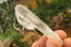 Natural Clear Quartz Crystals x 46 From Madagascar - Toprock Gemstones and Minerals 