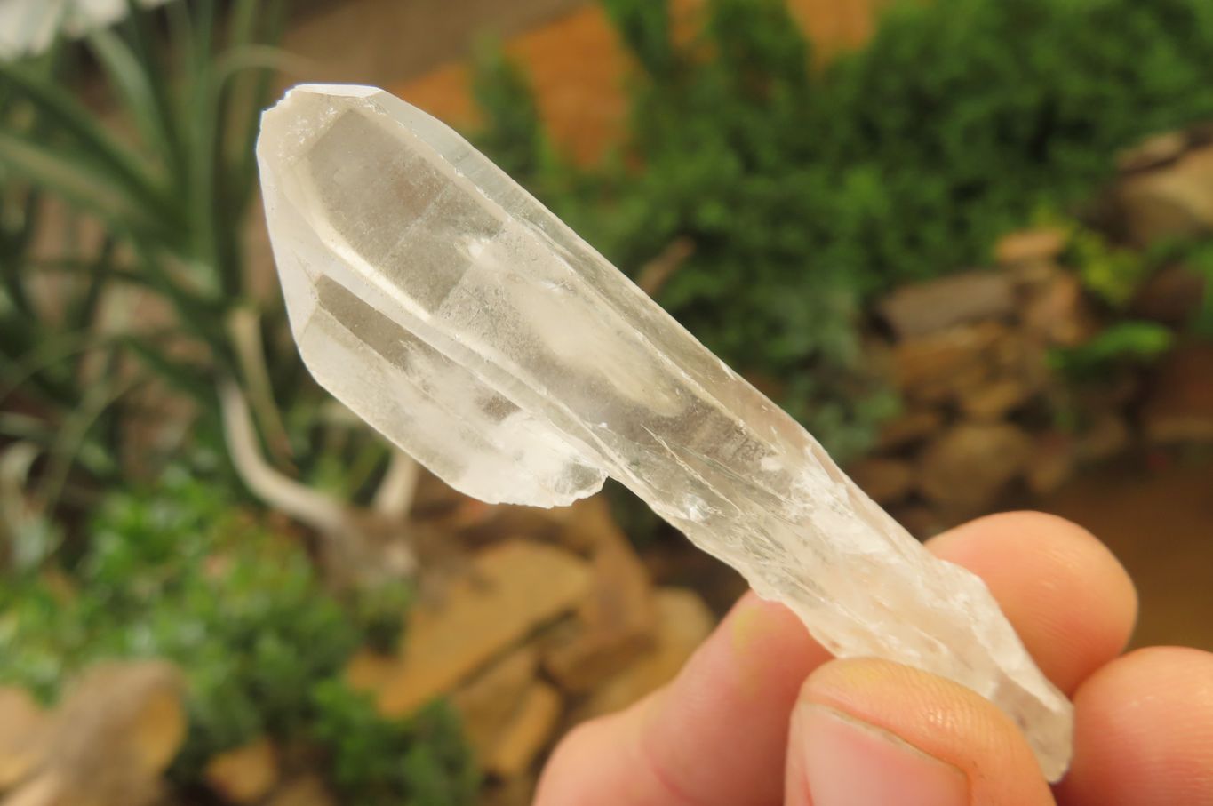 Natural Clear Quartz Crystals x 46 From Madagascar - Toprock Gemstones and Minerals 
