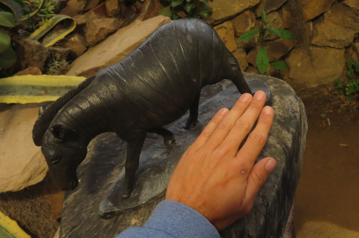 Hand Made Wonder Stone Zebra Carving x 1 From Zimbabwe - Toprock Gemstones and Minerals 