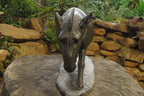 Hand Made Wonder Stone Zebra Carving x 1 From Zimbabwe - Toprock Gemstones and Minerals 