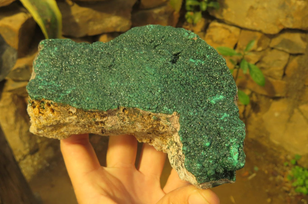 Natural Botryoidal Malachite Specimen x 1 From Tenke Fungurume, Congo - Toprock Gemstones and Minerals 