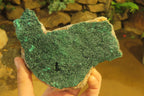 Natural Botryoidal Malachite Specimen x 1 From Tenke Fungurume, Congo - Toprock Gemstones and Minerals 