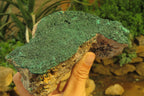 Natural Botryoidal Malachite Specimen x 1 From Tenke Fungurume, Congo - Toprock Gemstones and Minerals 