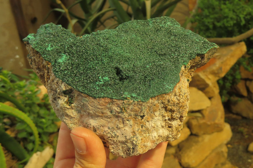 Natural Botryoidal Malachite Specimen x 1 From Tenke Fungurume, Congo - Toprock Gemstones and Minerals 