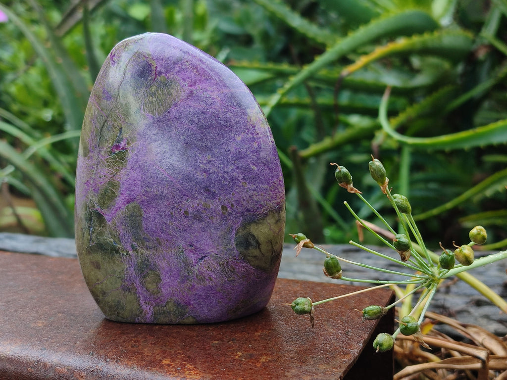 Polished Stichtite Standing Free Forms x 3 From Barberton, South Africa - Toprock Gemstones and Minerals 