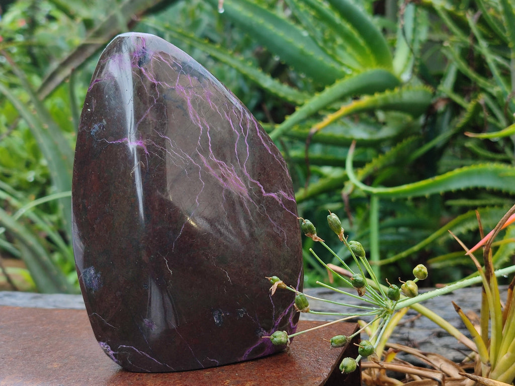 Polished Stichtite Standing Free Forms x 3 From Barberton, South Africa - Toprock Gemstones and Minerals 