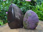 Polished Stichtite Standing Free Forms x 3 From Barberton, South Africa - Toprock Gemstones and Minerals 