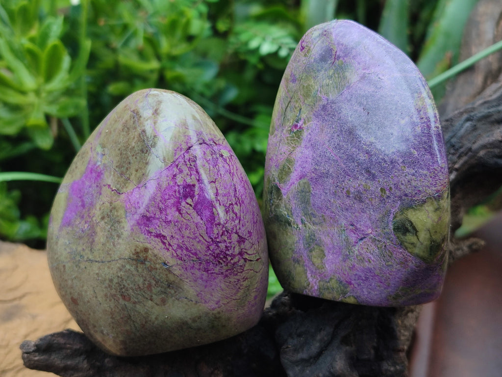 Polished Stichtite Standing Free Forms x 3 From Barberton, South Africa - Toprock Gemstones and Minerals 