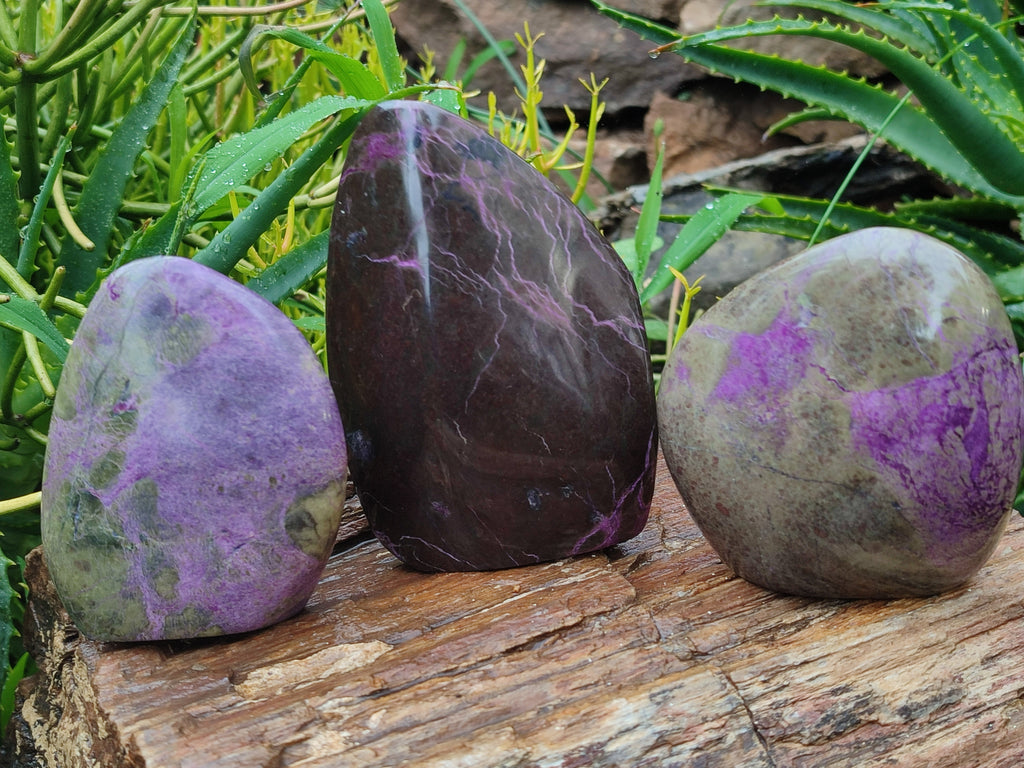 Polished Stichtite Standing Free Forms x 3 From Barberton, South Africa - Toprock Gemstones and Minerals 