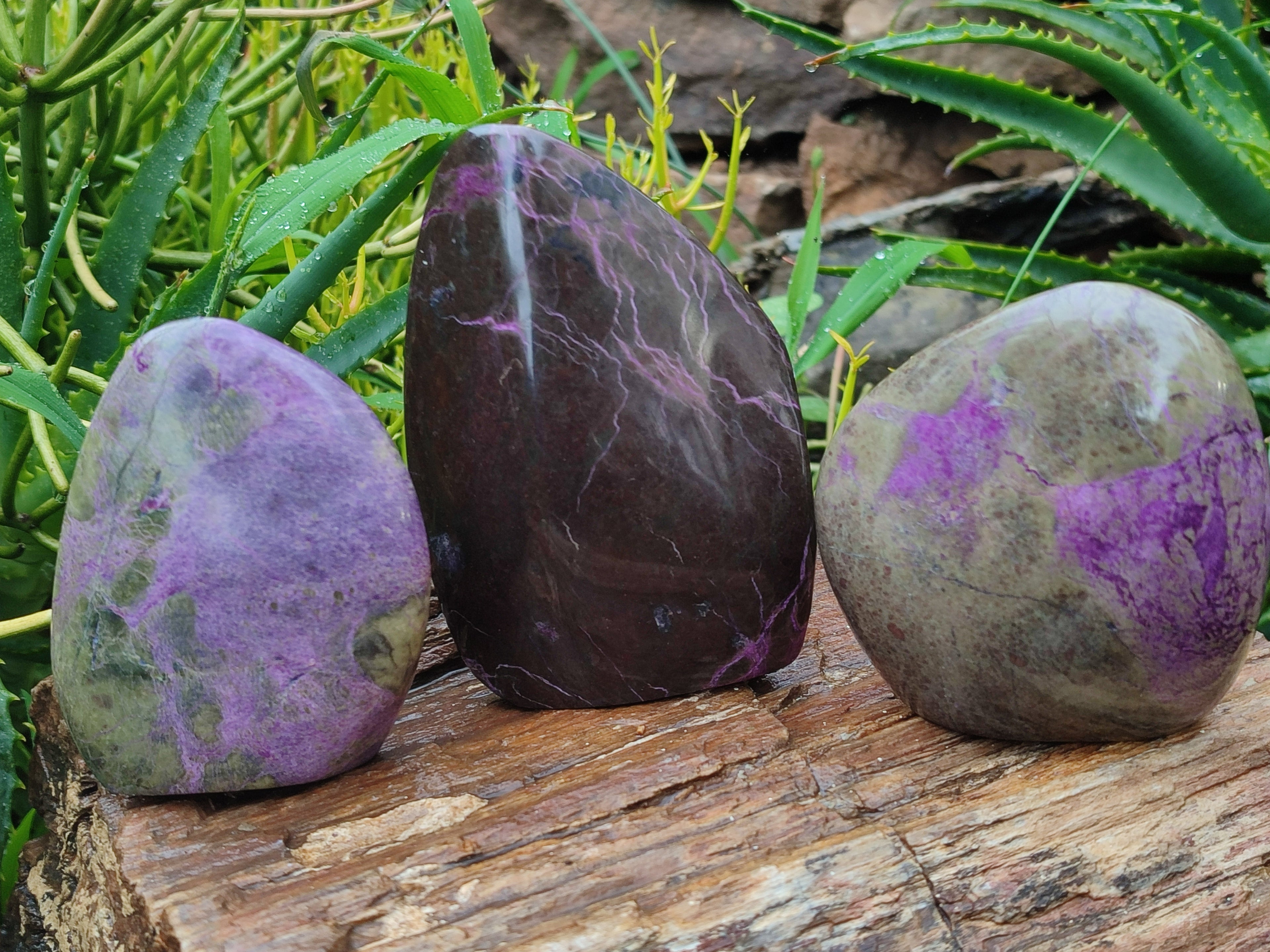 Polished Stichtite Standing Free Forms x 3 From Barberton, South Africa - Toprock Gemstones and Minerals 