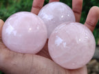 Polished Rose Quartz Spheres x 6 From Madagascar - Toprock Gemstones and Minerals 