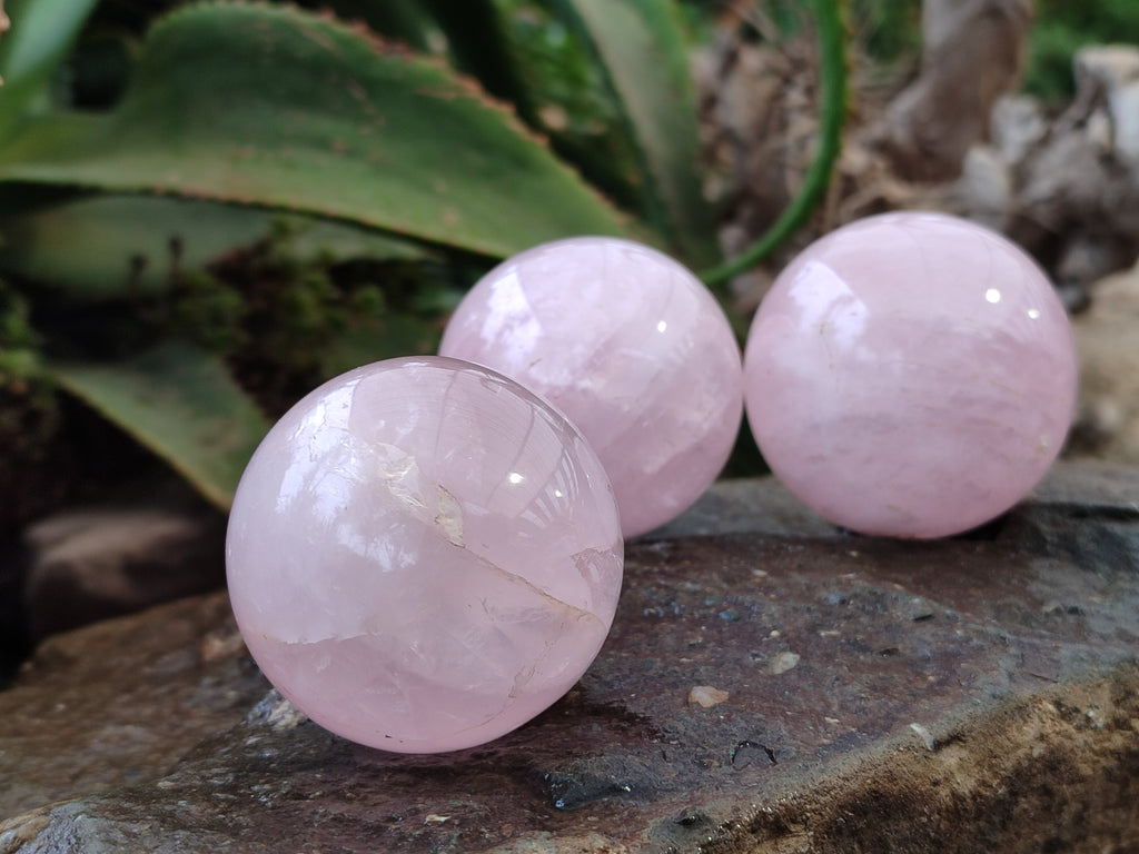 Polished Rose Quartz Spheres x 6 From Madagascar - Toprock Gemstones and Minerals 