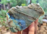 Polished On One Side Labradorite x 12 From Tulear, Madagascar - Toprock Gemstones and Minerals 