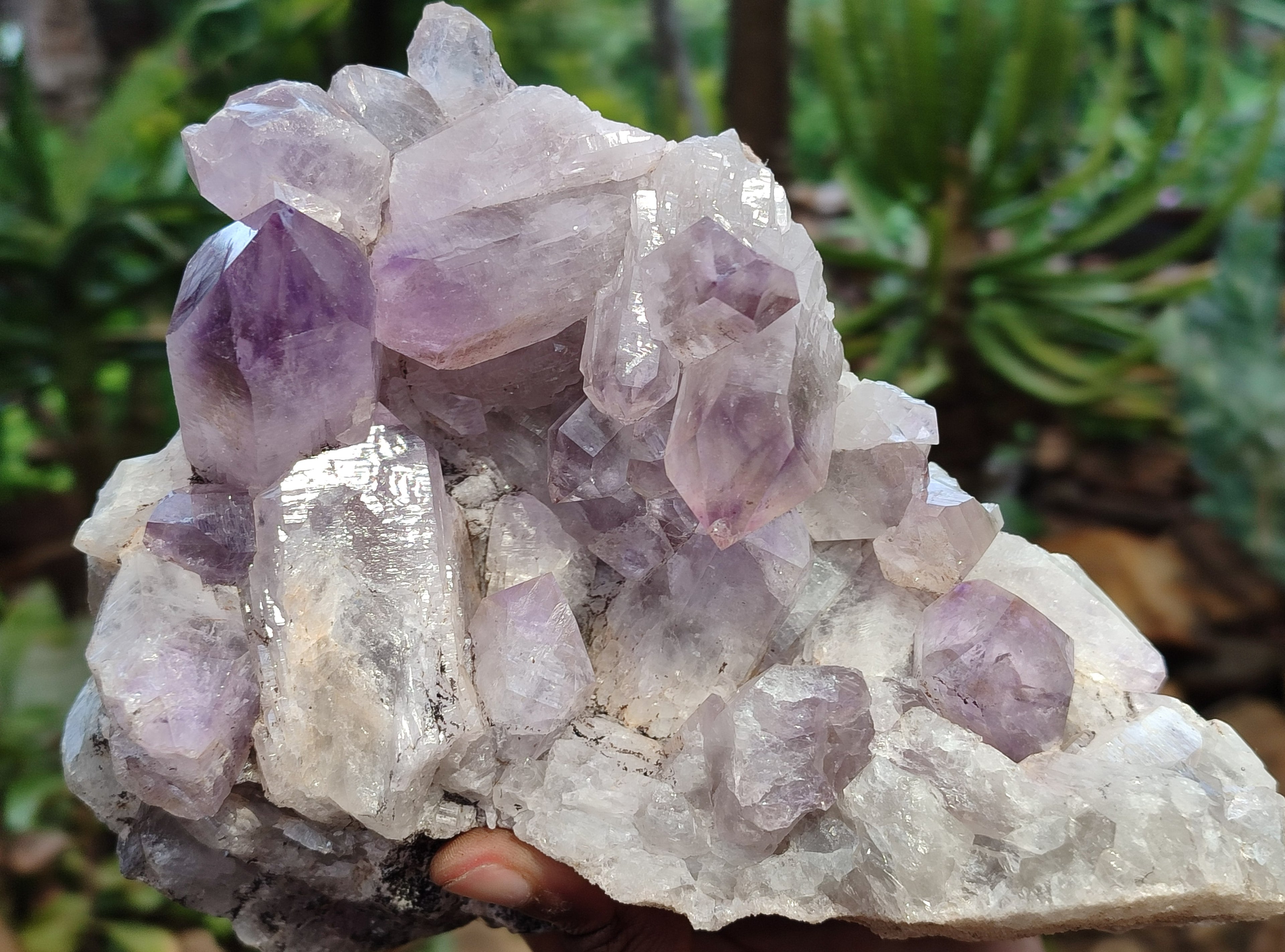 Natural Jacaranda Amethyst Quartz Clusters x 2 from Mumbwa, Zambia - Toprock Gemstones and Minerals 