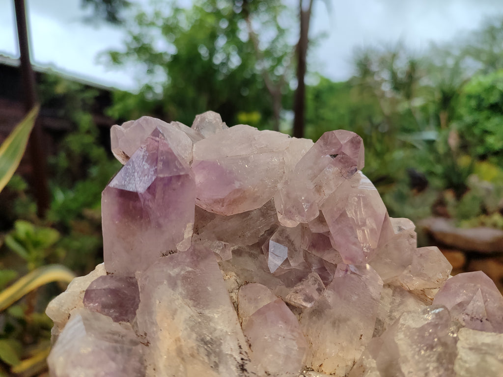 Natural Jacaranda Amethyst Quartz Clusters x 2 from Mumbwa, Zambia - Toprock Gemstones and Minerals 