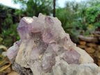 Natural Jacaranda Amethyst Quartz Clusters x 2 from Mumbwa, Zambia - Toprock Gemstones and Minerals 