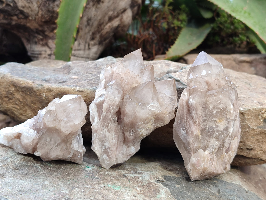 Natural Smokey Phantom Quartz Clusters x 6 From Luena, Congo - Toprock Gemstones and Minerals 