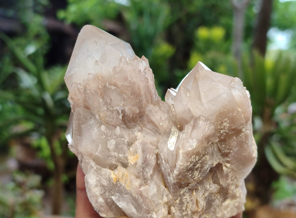 Natural Smokey Phantom Quartz Clusters x 6 From Luena, Congo - Toprock Gemstones and Minerals 
