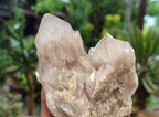 Natural Smokey Phantom Quartz Clusters x 6 From Luena, Congo - Toprock Gemstones and Minerals 