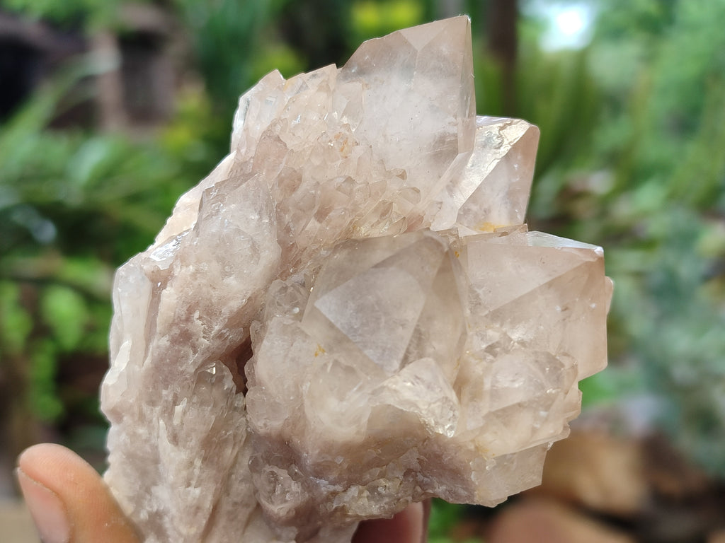 Natural Smokey Phantom Quartz Clusters x 6 From Luena, Congo - Toprock Gemstones and Minerals 