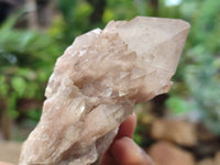 Natural Smokey Phantom Quartz Clusters x 6 From Luena, Congo - Toprock Gemstones and Minerals 
