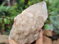 Natural Smokey Phantom Quartz Clusters x 6 From Luena, Congo - Toprock Gemstones and Minerals 