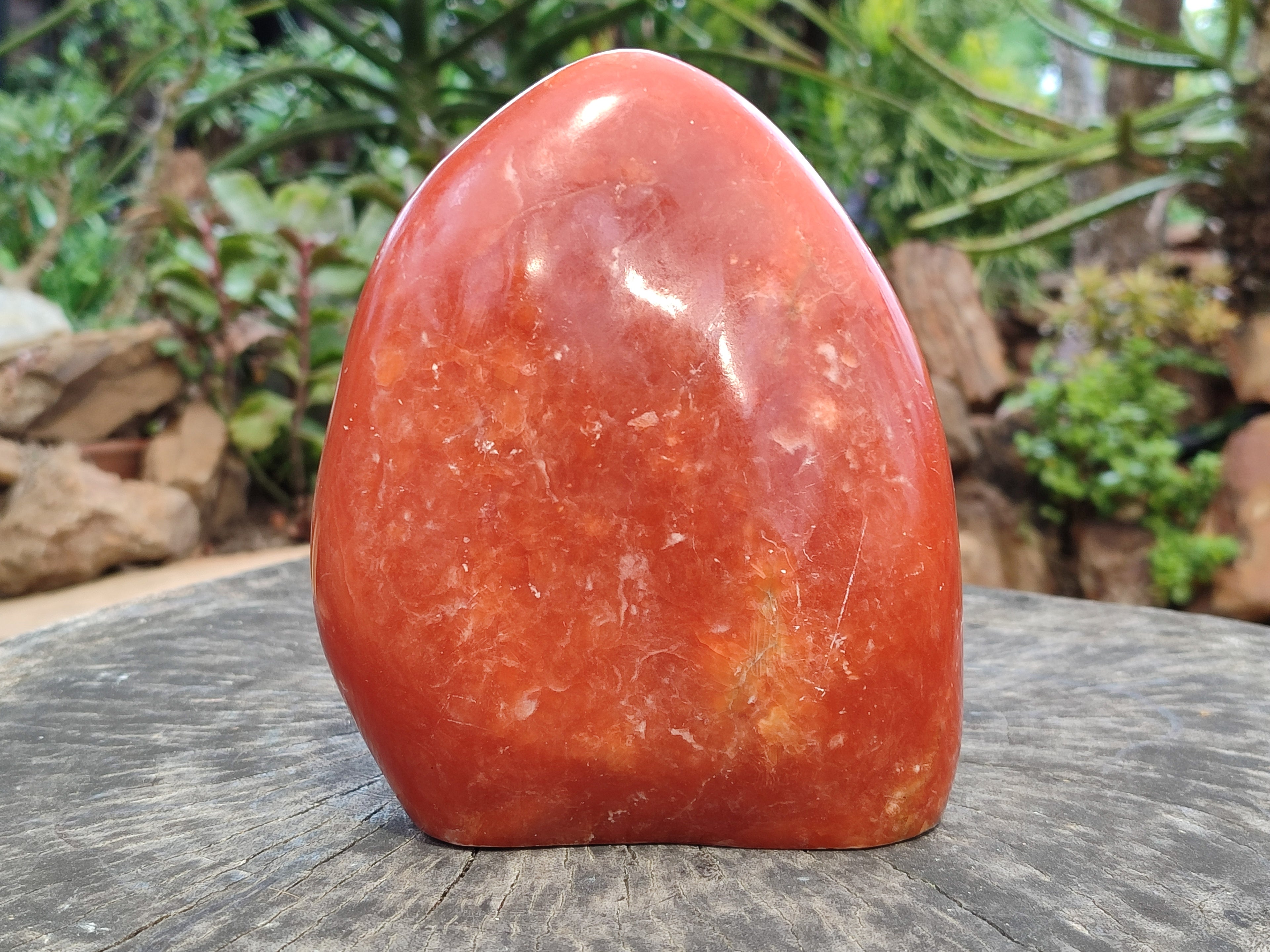 Polished Orange Twist Calcite Standing Free Form x 1 From Madagascar - Toprock Gemstones and Minerals 