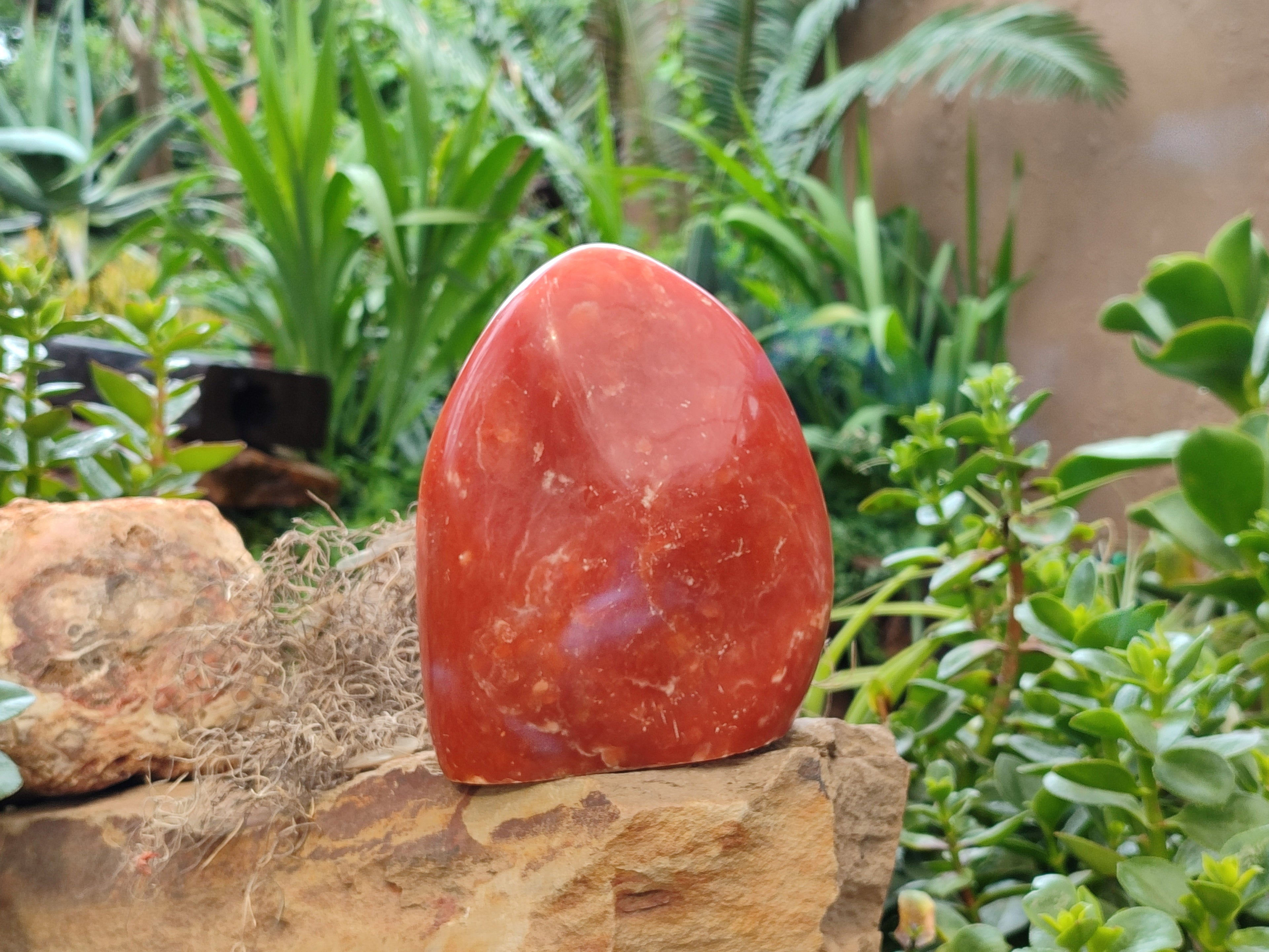 Polished Orange Twist Calcite Standing Free Form x 1 From Madagascar - Toprock Gemstones and Minerals 