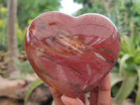 Polished Podocarpus Petrified Wood Hearts x 2 From Mahajanga, Madagascar