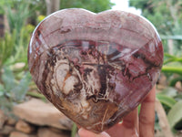 Polished Podocarpus Petrified Wood Hearts x 2 From Mahajanga, Madagascar
