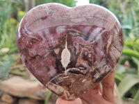 Polished Podocarpus Petrified Wood Hearts x 2 From Mahajanga, Madagascar