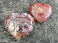 Polished Podocarpus Petrified Wood Hearts x 2 From Mahajanga, Madagascar