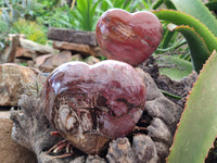Polished Podocarpus Petrified Wood Hearts x 2 From Mahajanga, Madagascar